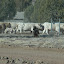 DSC_8183.JPG