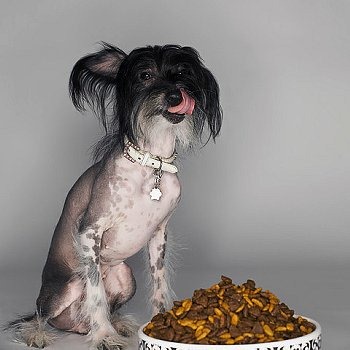 Частота кормления: