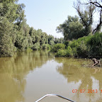 DSCN9391.JPG