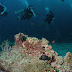 201209 Ko Haa-38.jpg