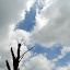 DSC_0079.JPG