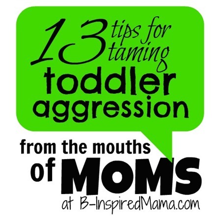 From the Mouths of Moms Taming Toddler Aggression
