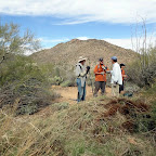 Bufflegrass Eradication
