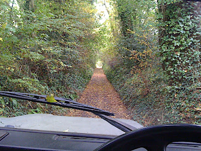 Into the lane... carpet of autumn leaves hadn't been disturbed since the start of autumn a week ago..