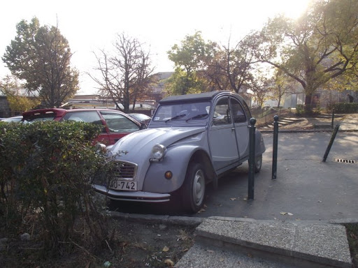 DSCF5638.JPG