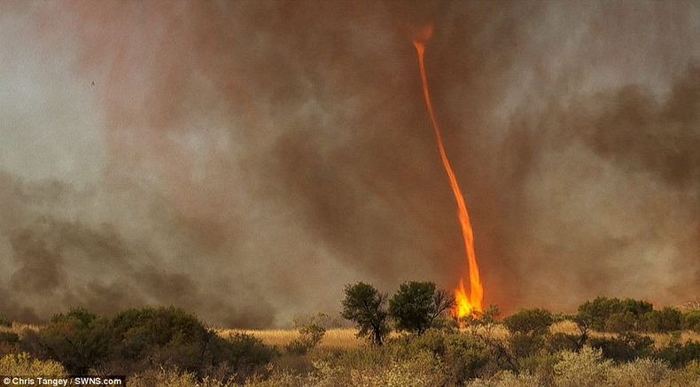 fire-tornadoes-5 fire-tornadoes-5