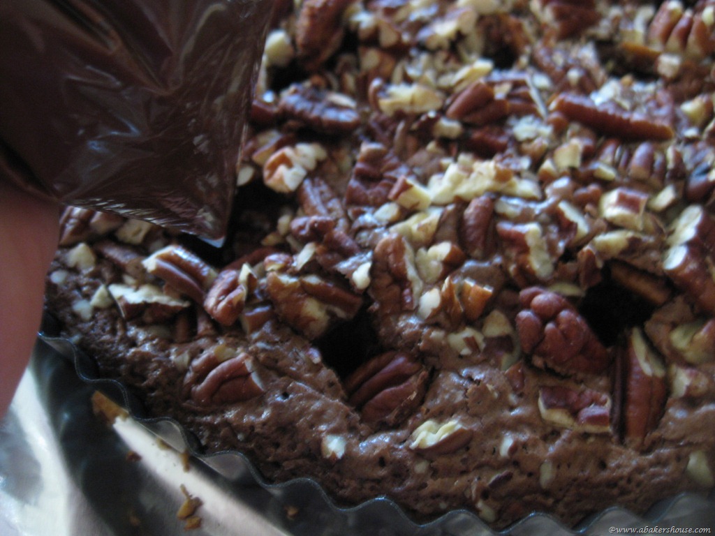 [fill%2520brownie%2520holes%2520with%2520ganache%255B7%255D.jpg]