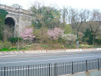 The base of Fort Tryon Park, part of the successful restoration efforts taken on by New York Restoration Project, www.nyrp.org. Hats off to Bette Midler for spearheading this effort.