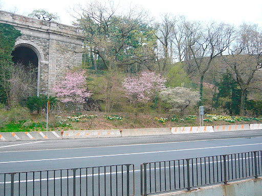 The base of Fort Tryon Park, part of the successful restoration efforts taken on by New York Restoration Project, www.nyrp.org. Hats off to Bette Midler for spearheading this effort.