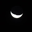 IMG_1156.jpg