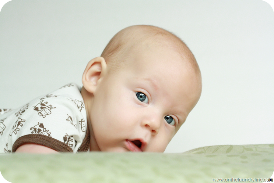 [IMG_1972-copy%255B2%255D.png]