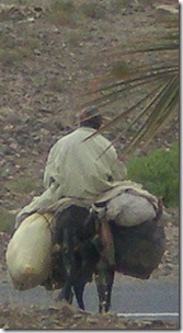 on the road in the Draa Valley