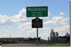 IMG_2631 IMG_2631