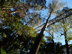 P1020101.JPG