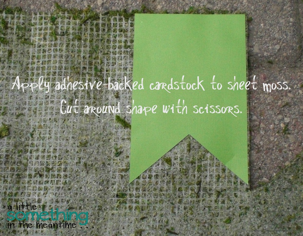 [Apply%2520cardstock%2520and%2520cut%2520out%2520shape%255B6%255D.jpg]