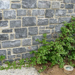 Mur en moellons tout venant maçonné