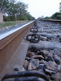 Ah&iacute; viene el tren