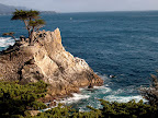 The Lone Cypress