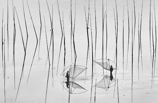 Việt Nam Xanh - Những ảnh đẹp từ cuộc thi National Geographic (Hình 46).
