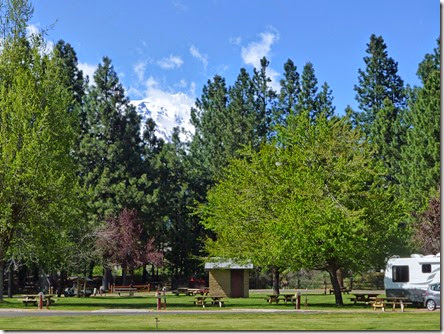 mt shasta from park mt shasta from park