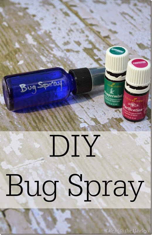 DIY Bug Spray