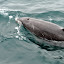 DSC_0877.JPG