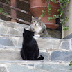 Kreta03-2012-025.JPG