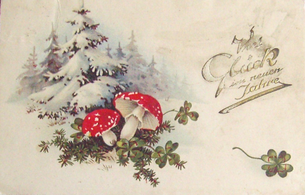 [SNC17645%255B13%255D.jpg]