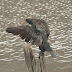 20130411-dsc_9384
