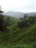 STP60668.JPG