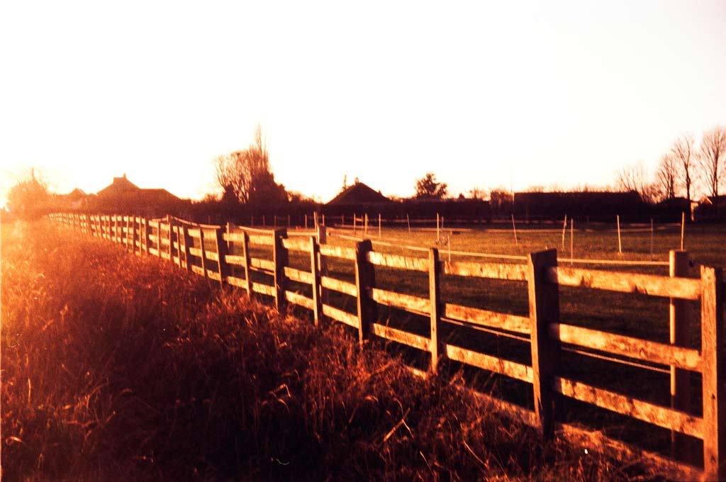[Horse-Land-2---XPRO5.jpg]