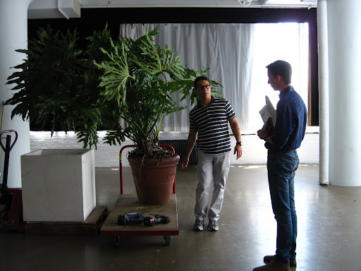Stylist Tom Borgese and I talk about how we are going to get it repotted and into my apartment. We decide it's a better idea to repot the larger one on site and the smaller one here. I also decided I only needed two.