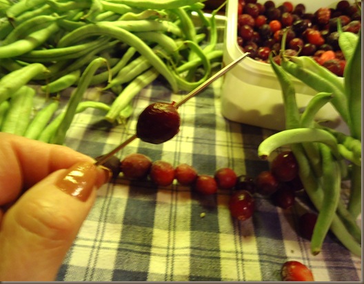 Green Beans 3 Green Beans 3