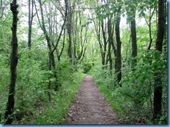 4587 Bass Lake Provincial Park - Waterview Trail hike