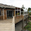 511 Root - DSC02928.JPG