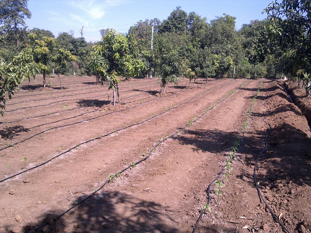 [07012011127%255B4%255D.jpg]