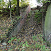 dsc03955.jpg