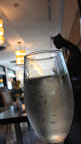 She seemed thirsty so we shared our champagne which she seemed quite fond of... She seemed thirsty so we shared our champagne which she seemed quite fond of...