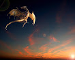 Fantasy Dragon Flight
