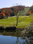 Cindys in the Fall Cindys in the Fall