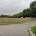 DSC07268.JPG