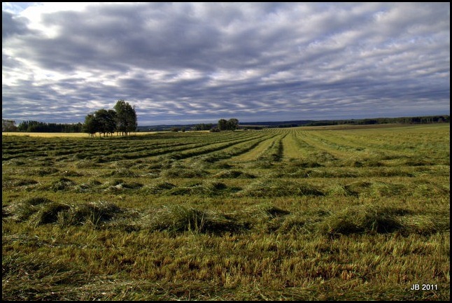 [IMG_5344_thumb%255B3%255D.jpg]
