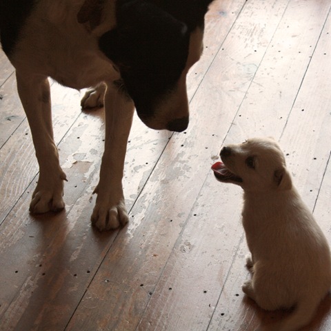 [Tilly%2520meets%2520Lawson%255B4%255D.jpg]