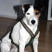 nelli_sitzend_5.jpg