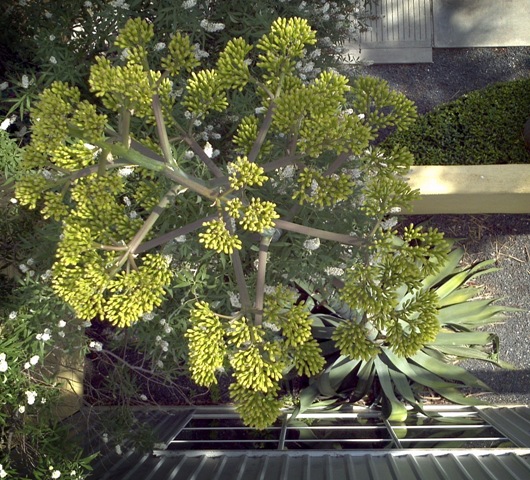 [2011-05-17-15%252032%252053%255B1%255D%255B2%255D.jpg]
