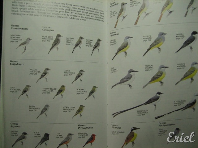 [gG%2520077%255B8%255D.jpg]