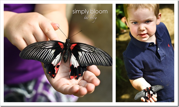 Kids with Butterflies