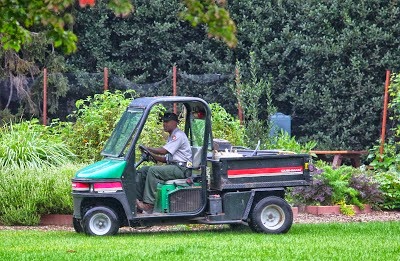 [specialdelivery.garden-of-good-and-e.jpg]