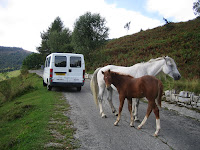 20070920_0024.JPG