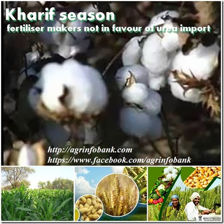 Kharif season fertiliser makers not in favour of urea import
